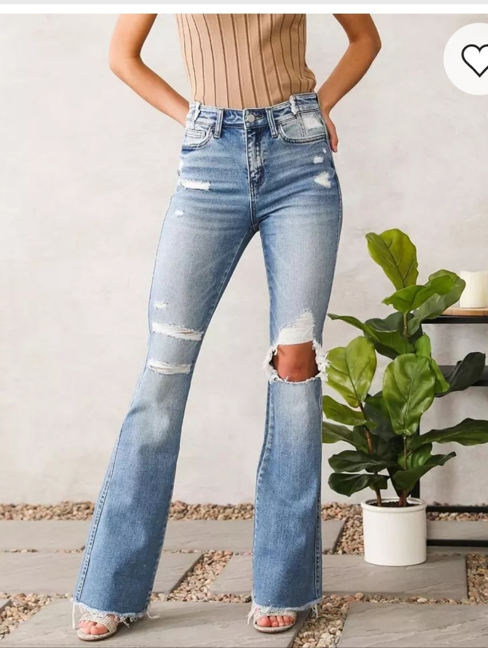 Flying Monkey Jeans Buckle Exclusive